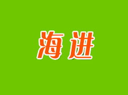 臨渭區(qū)海進(jìn)食品廠開啟廣州市場新篇章 代理商李海靜的開拓之路與區(qū)域戰(zhàn)略